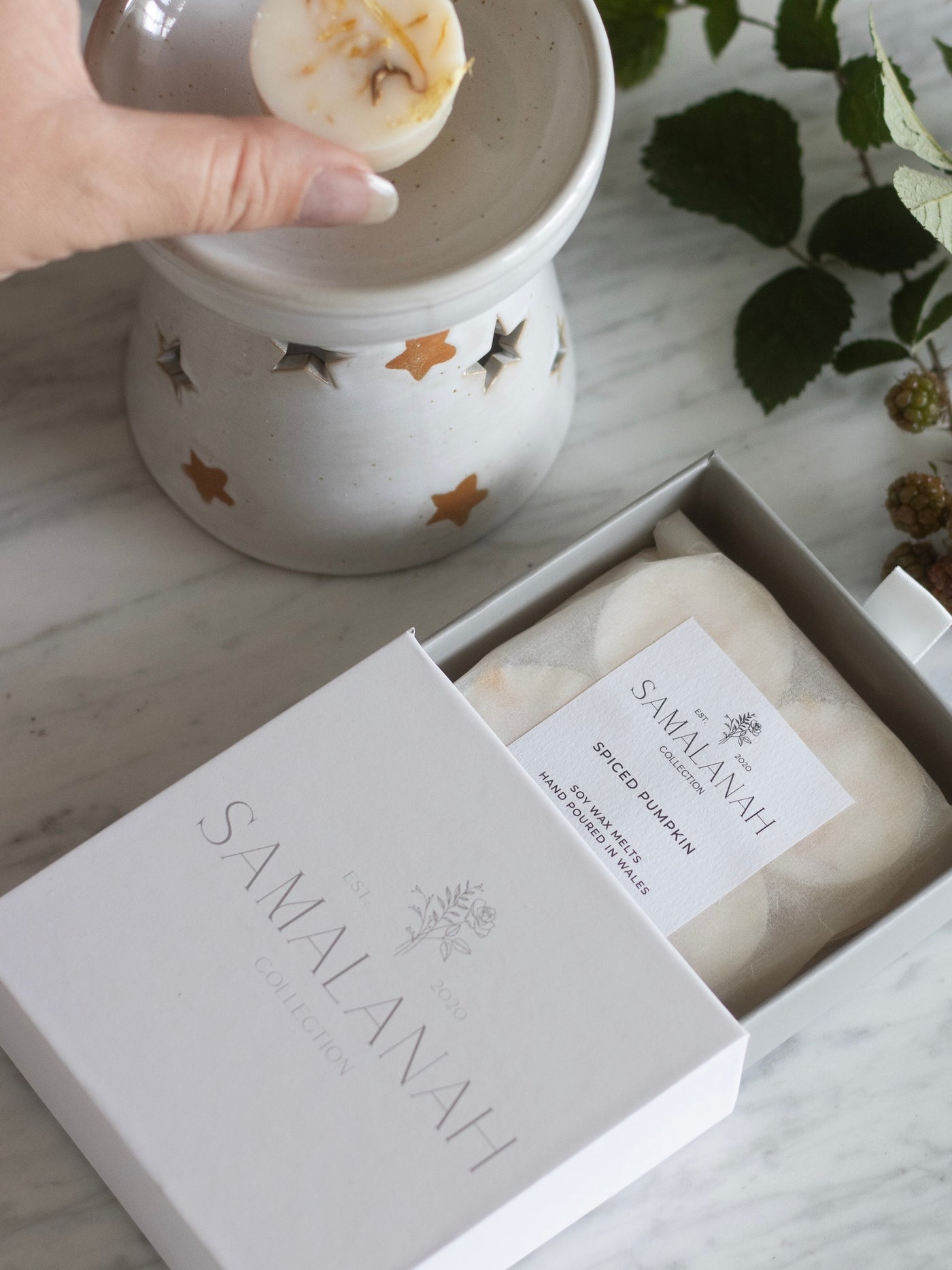 Spiced Pumpkin Soy Wax Melts