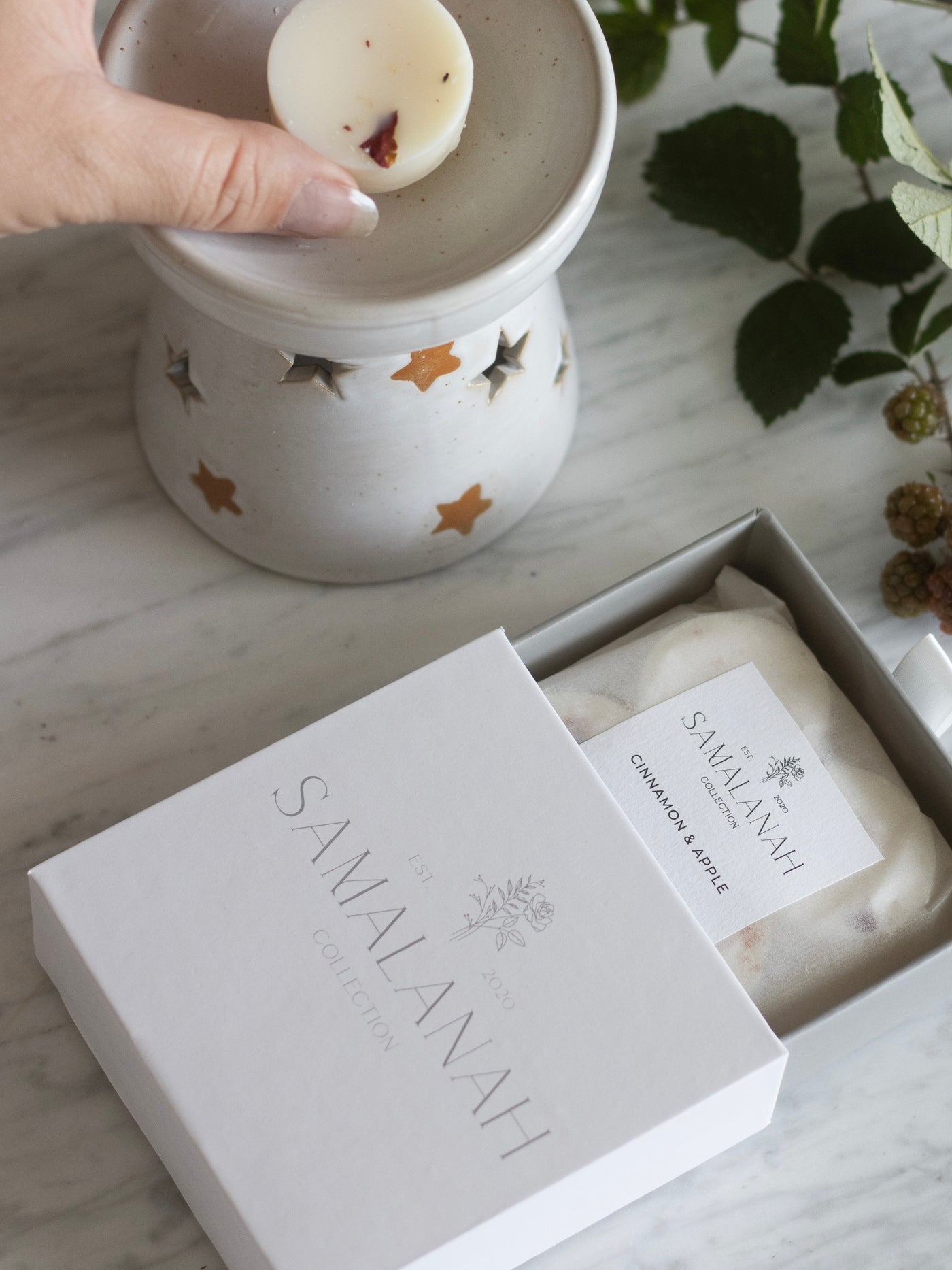 Cinnamon & Apple Soy Wax Melts