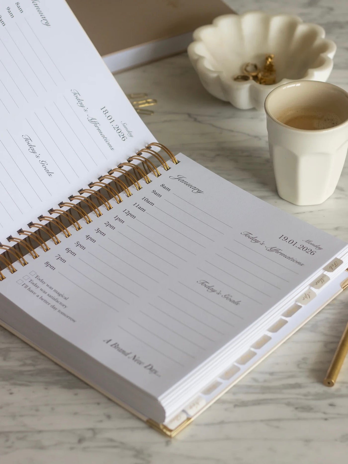 2026 Daily Planner - Frost