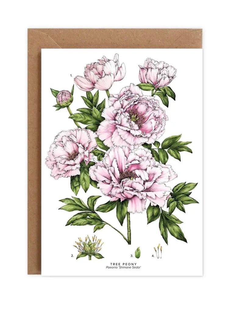 Peony Tree Card