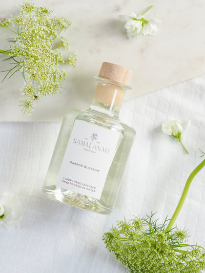 Orange Blossom Reed Diffuser