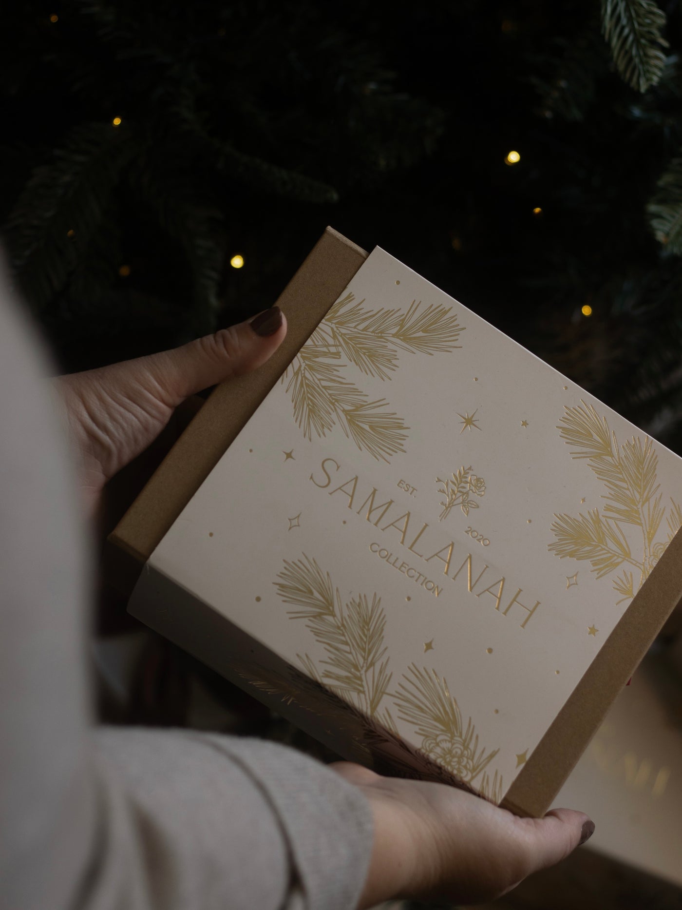 Winter Berries Hand Wash & Lotion