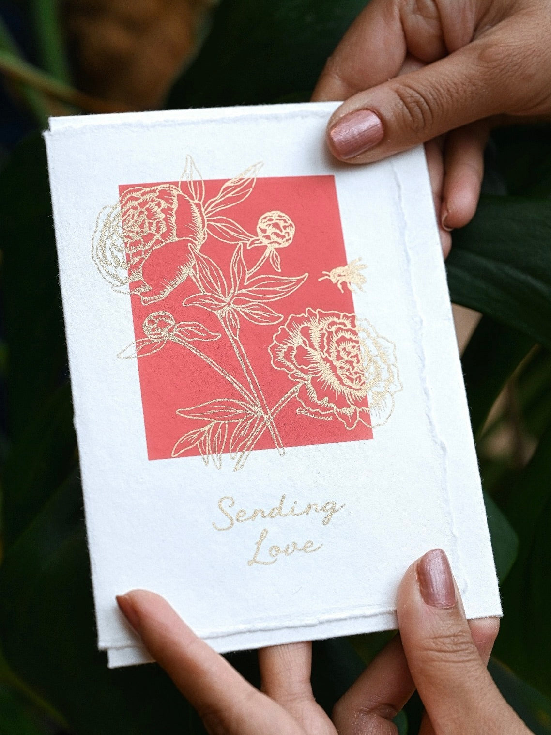 Peony Coral - Deckle Edge Cotton Greetings Card